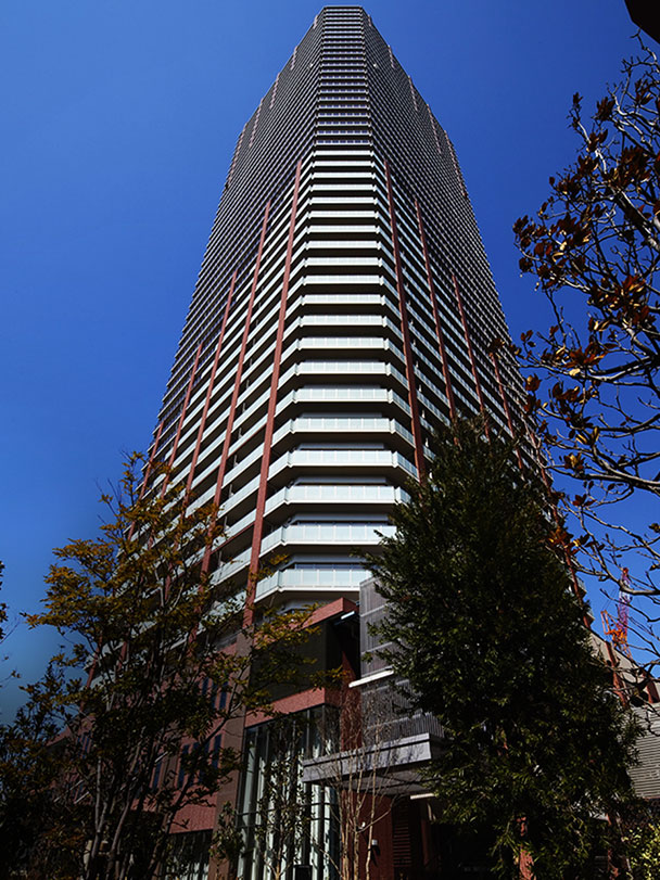 阿波座ライズタワーズ フラッグ46